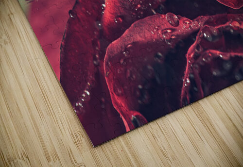 Rose Cendrine Marrouat puzzle