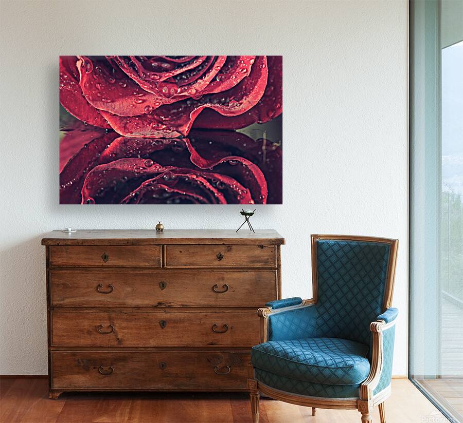 Rose Reproduction