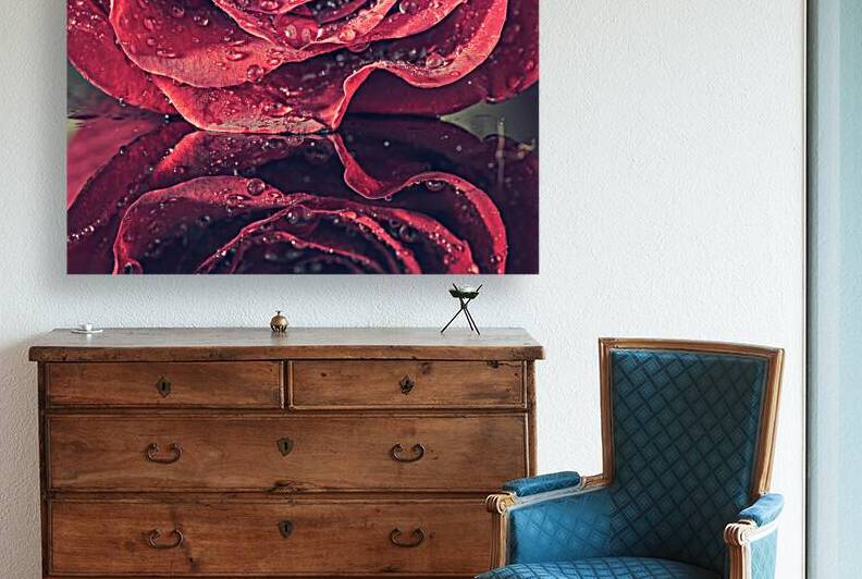 Rose by Cendrine Marrouat