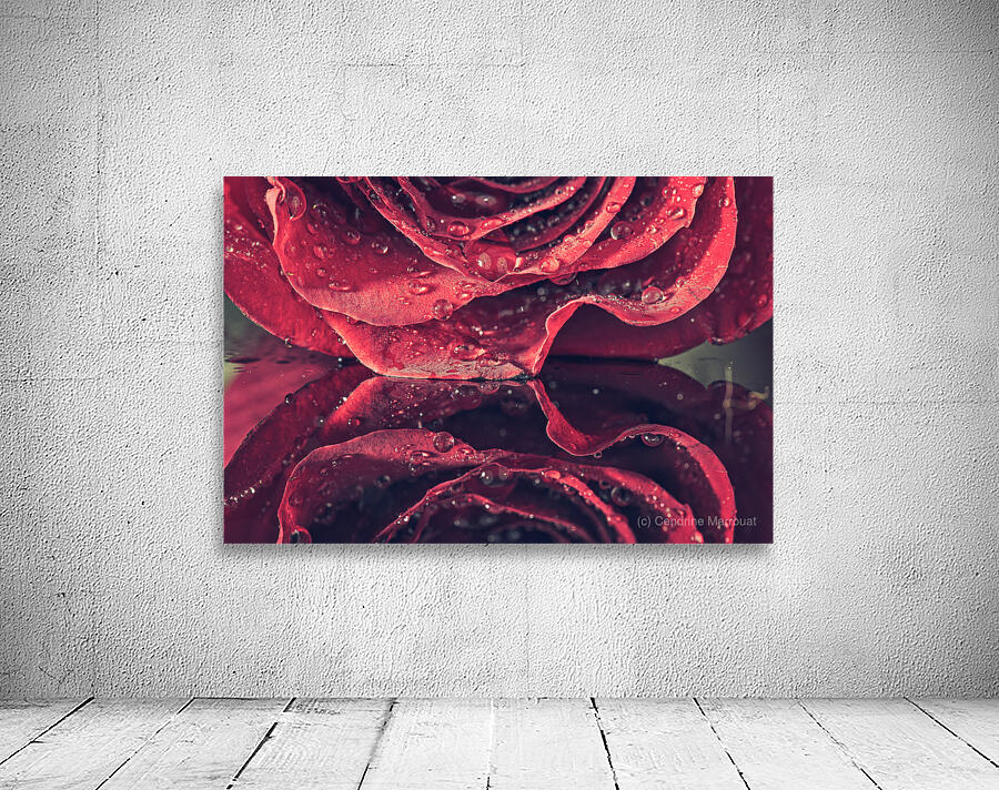 Rose Wall Preview