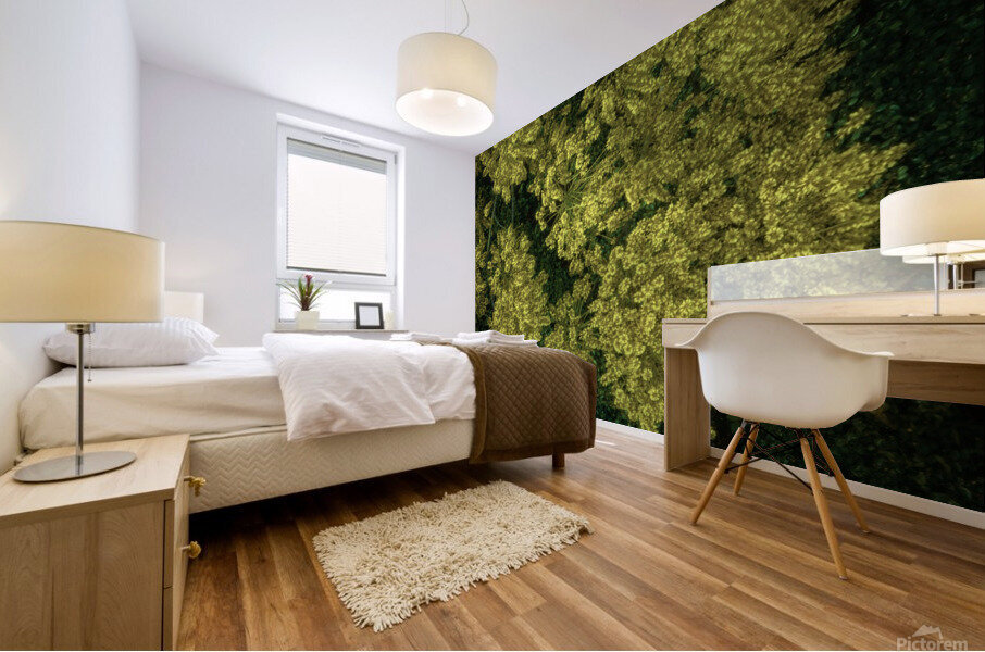 Yellow Phoenix Mural print