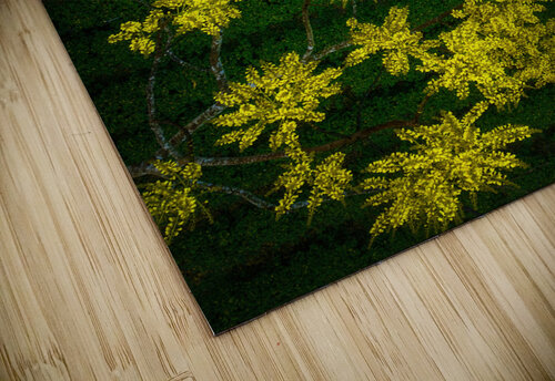 Spring on the tea hill Trung Pham Huy puzzle