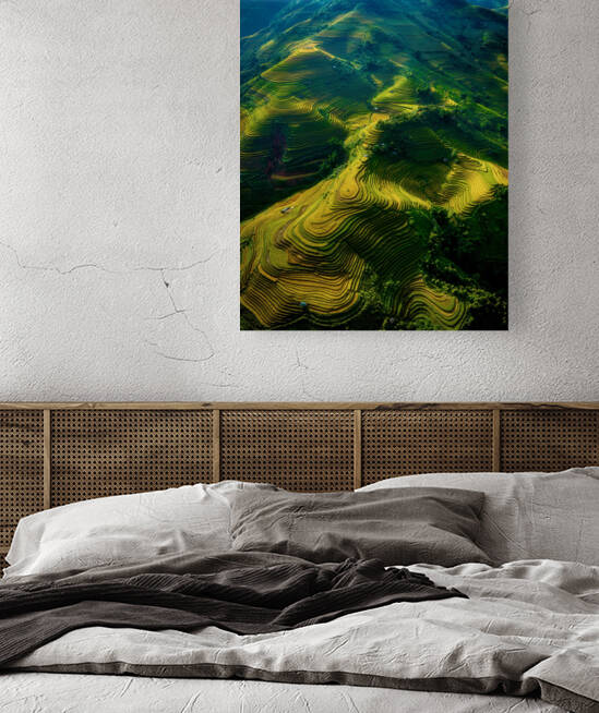 RIce terrace pattern Reproduction