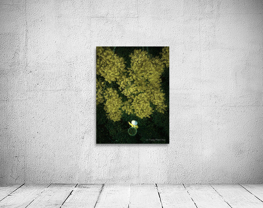 Yellow Phoenix Wall Preview
