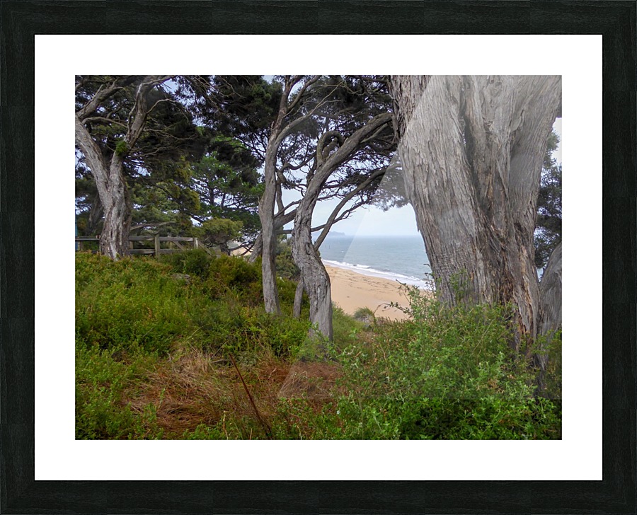 Ocean view through the trees Picture Frame print