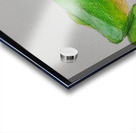 20250114 211150 Acrylic print