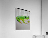 20250114 211150 Acrylic Print