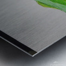 20250114 211150 Metal print