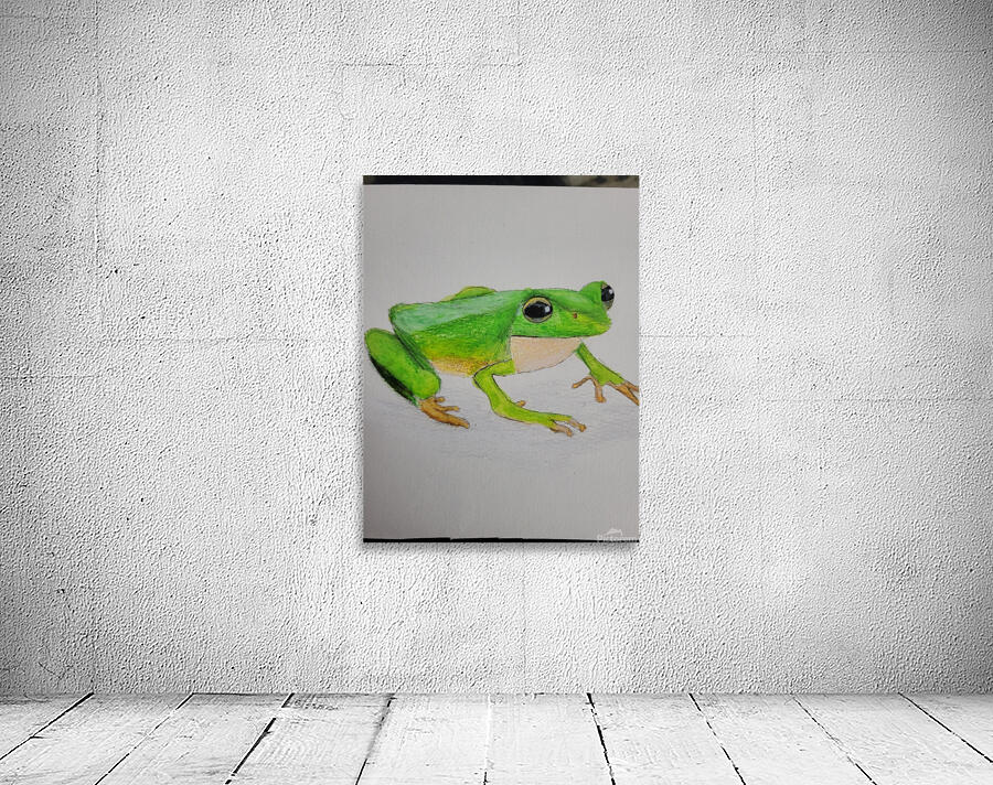 20250114 211150 Wall Preview