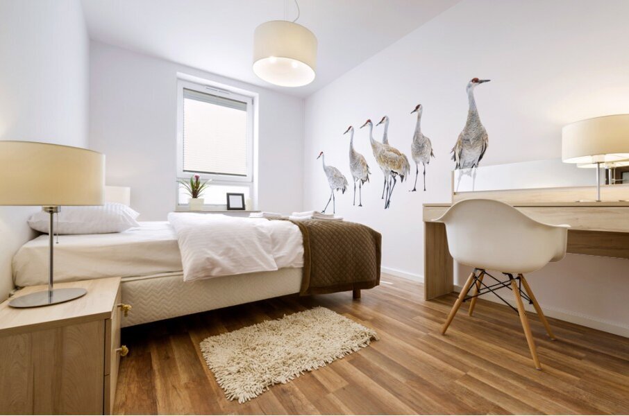 Winter Sandhill Cranes   Mural print