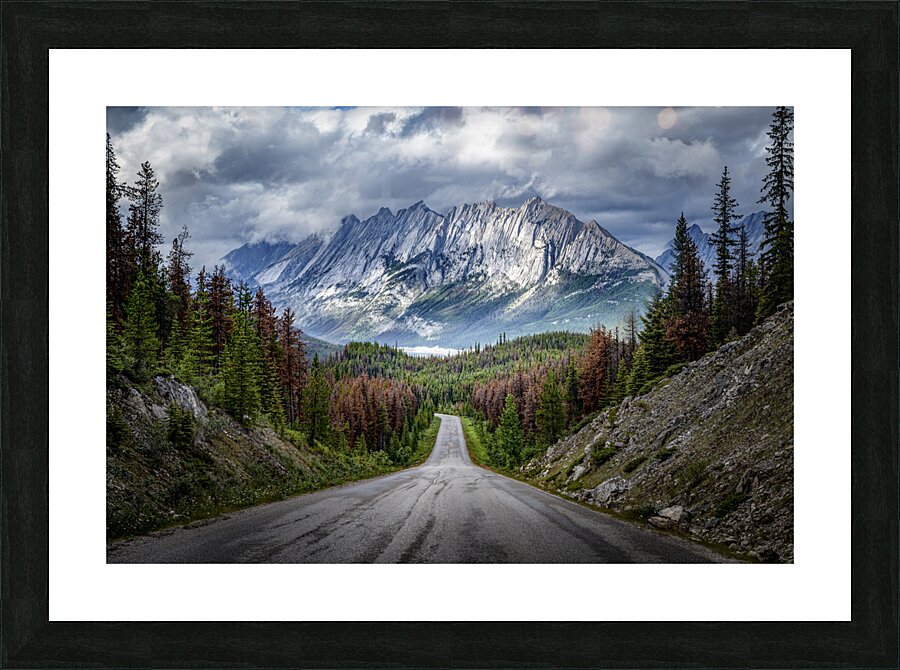 Jaspers Jewel  Picture Frame print
