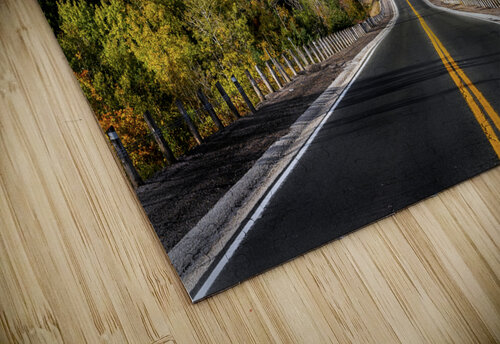 Autumn Drive David Bussieres Photography puzzle