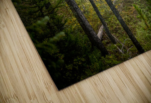 Banff Forest David Bussieres Photography puzzle