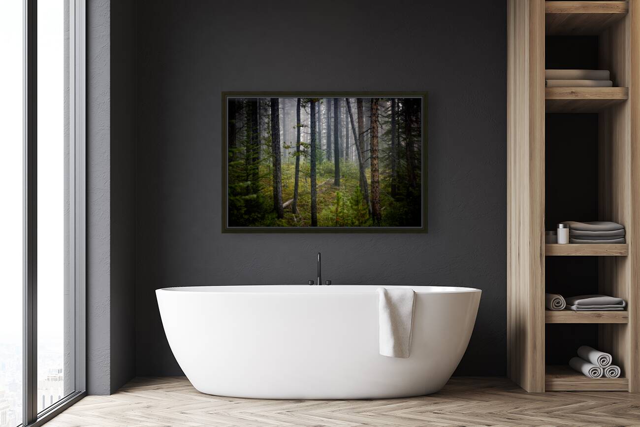 Banff Forest Reproduction