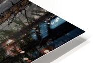 Banff Forest HD Metal print