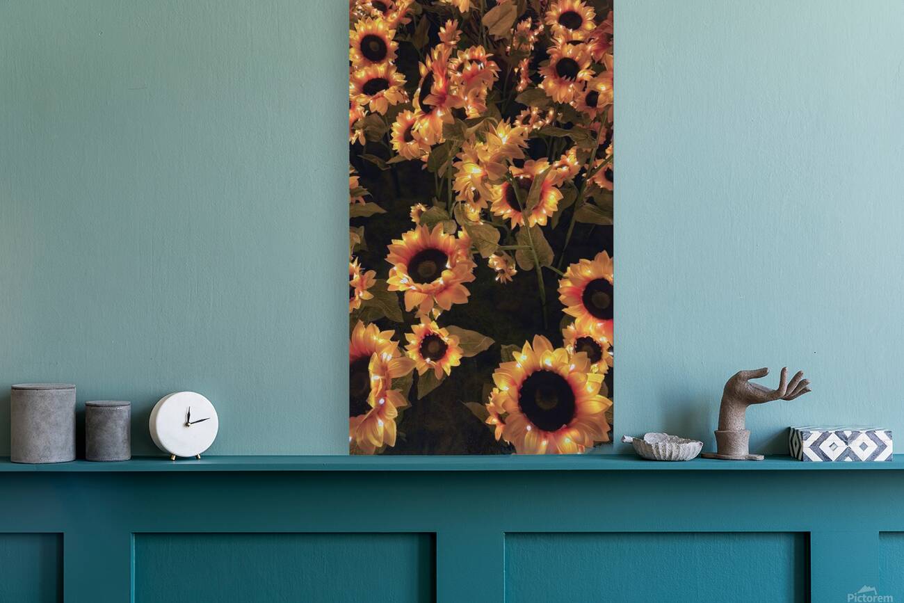 Beautiful sunflowers  Reproduction