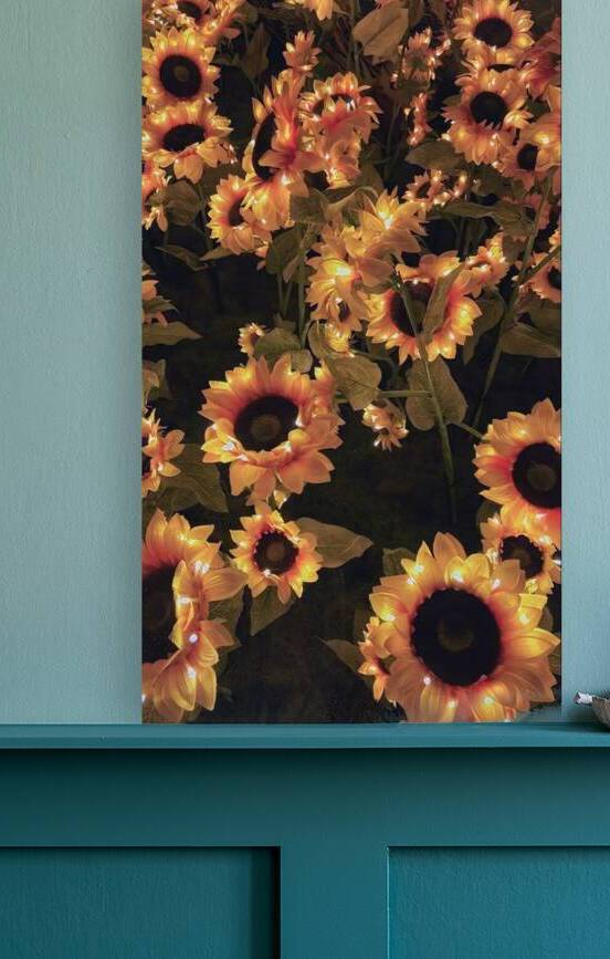Beautiful sunflowers  Reproduction