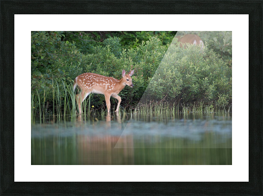 Le petit  Picture Frame print