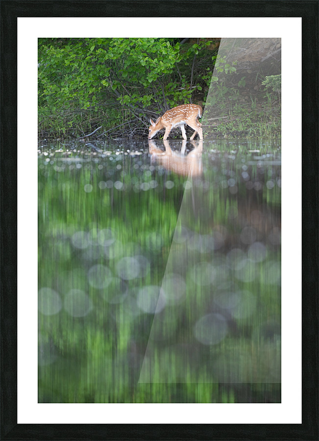 Reflexion  Picture Frame print