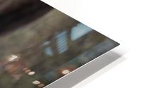 La timide HD Metal print