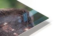 Le bain HD Metal print