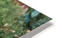 Le petit  HD Metal print