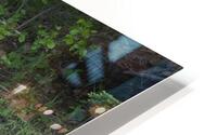 Reflexion  HD Metal print