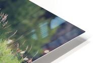 vision dete HD Metal print