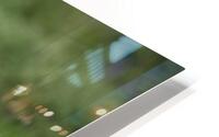 Le bain  HD Metal print