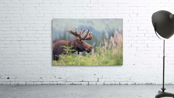 Rencontre au sommet  Wall Preview