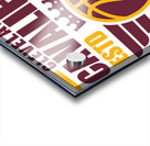 Cleveland Cavaliers 15 Acrylic print