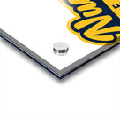 Denver Nuggets 9 Acrylic print