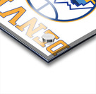 Denver Nuggets 10 Acrylic print