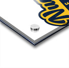 Denver Nuggets 20 Acrylic print