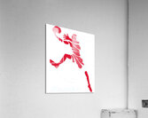 Atlanta Hawks 13 Acrylic Print