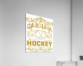 Carolina Hurricanes 1 Acrylic Print