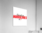 Carolina Hurricanes 2 Acrylic Print