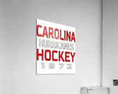 Carolina Hurricanes 3 Acrylic Print