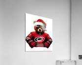 Carolina Hurricanes 9 Acrylic Print