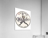 Chicago White Sox 14 Acrylic Print