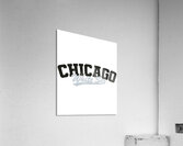 Chicago White Sox 21 Acrylic Print