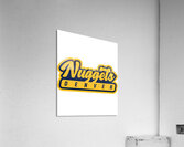 Denver Nuggets 9 Acrylic Print