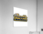 Denver Nuggets 20 Acrylic Print