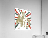 Dusty Rhodes 7 Acrylic Print