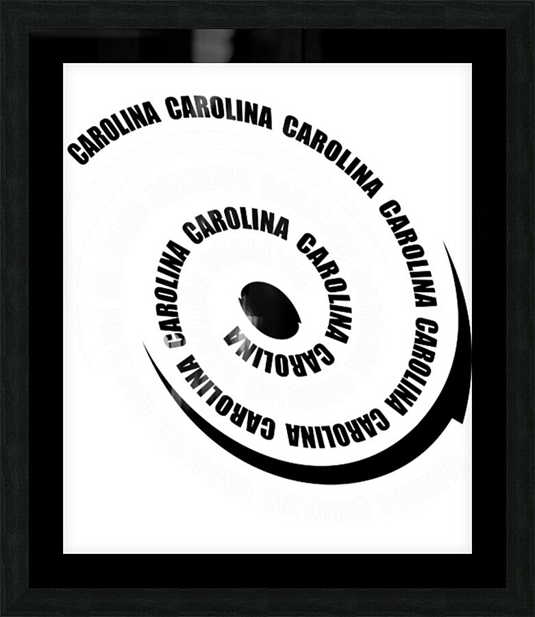 Carolina Hurricanes 4 Picture Frame print