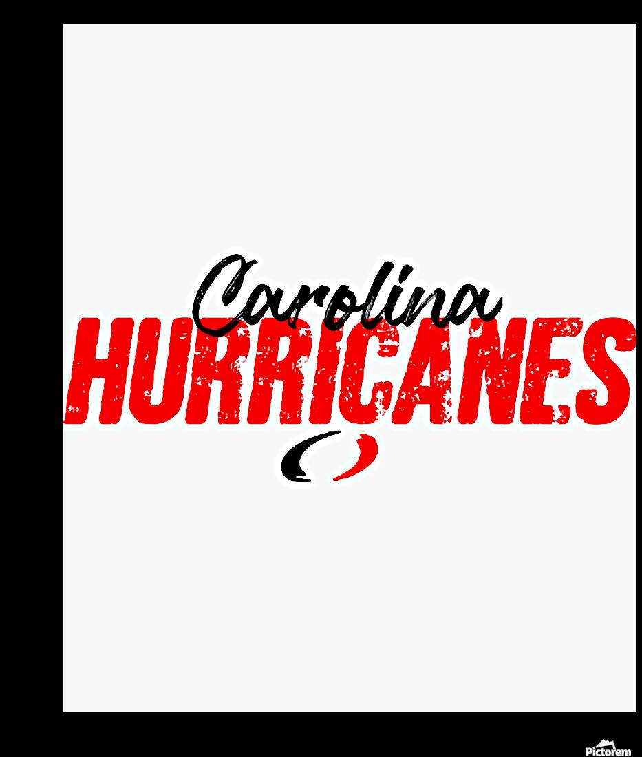 Carolina Hurricanes 2 Reproduction