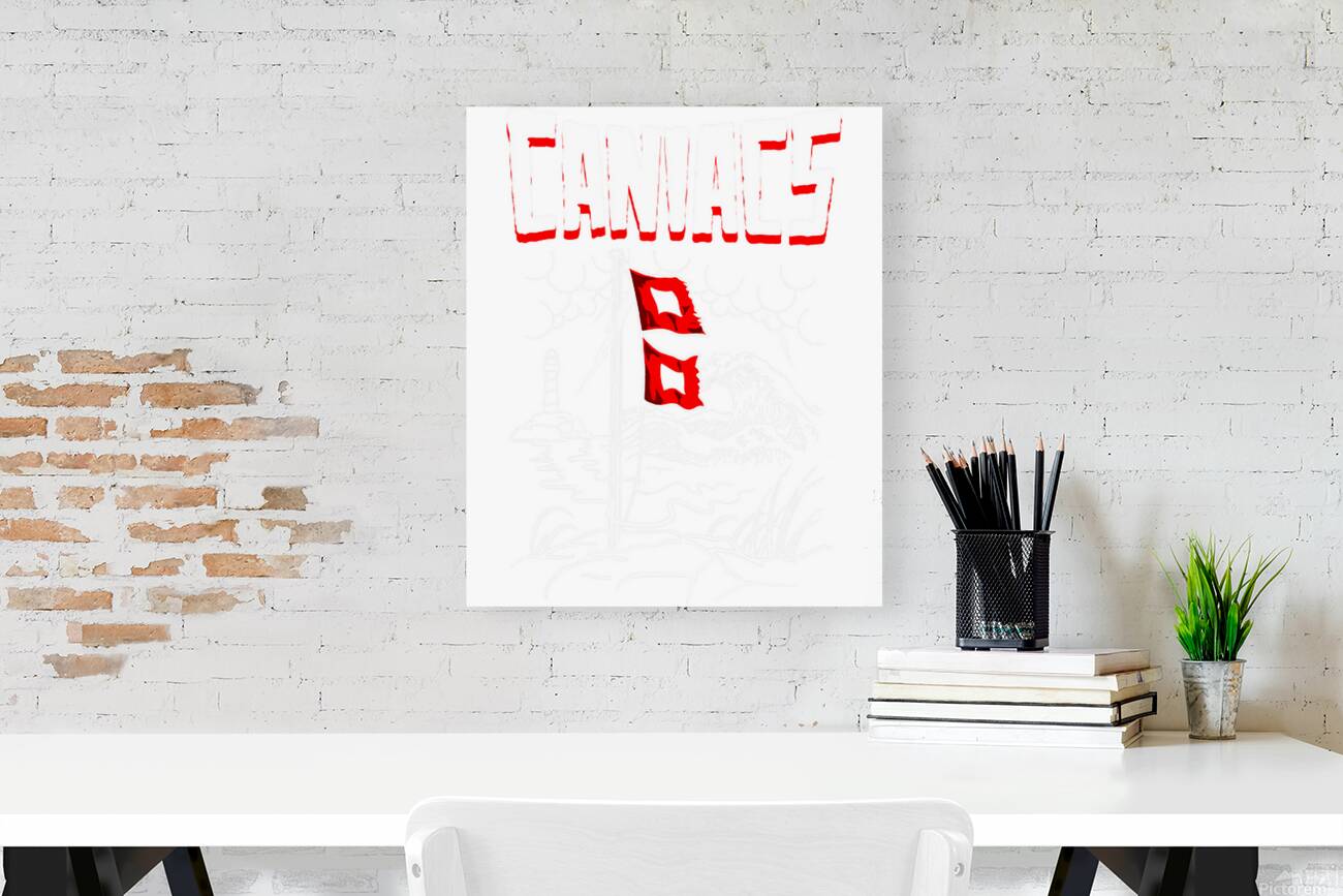 Carolina Hurricanes 23 Reproduction