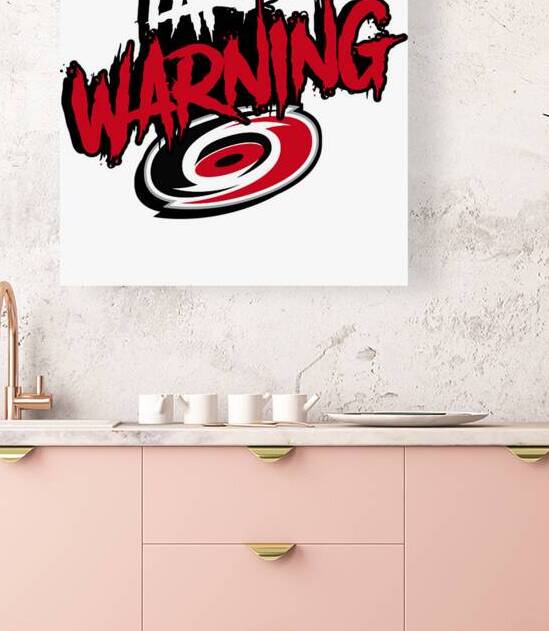Carolina Hurricanes 8 by DavidMCole