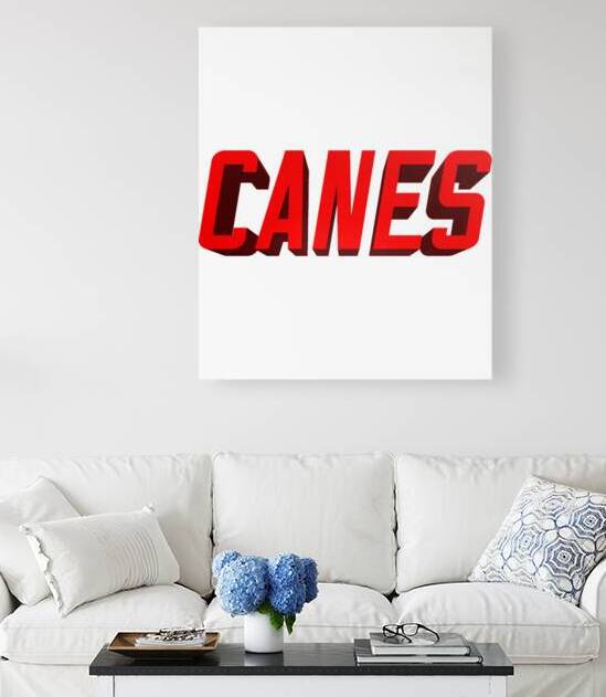 Carolina Hurricanes 11 by DavidMCole