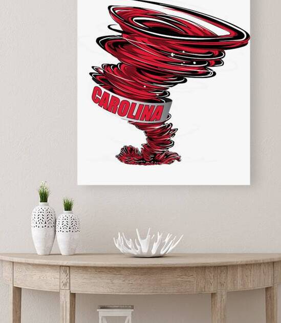 Carolina Hurricanes 12 by DavidMCole